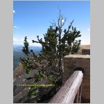 20060820_19BryceCanyon_007 copia.jpg